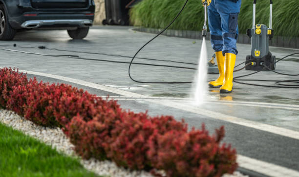 Best Patio and Deck Pressure Washing  in Anamosa, IA